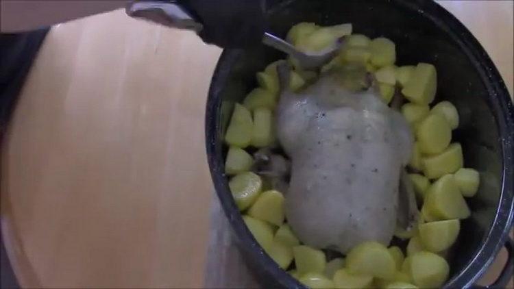 Mix the ingredients to cook.