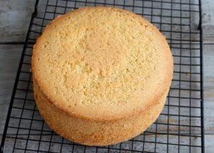 Lush and simple cake biscuit: we cook according to a step by step recipe with a photo.