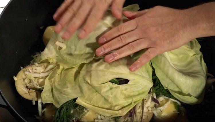 top cover the dish with cabbage leaves.
