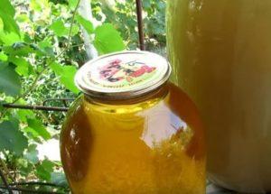 We cook delicious homemade gooseberry wine according to a step-by-step recipe with a photo.