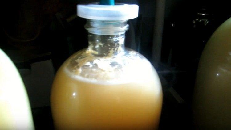 leave the wine in a cool place to ferment.