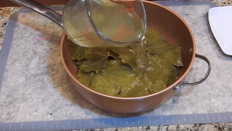 Pour the dish with chicken stock.