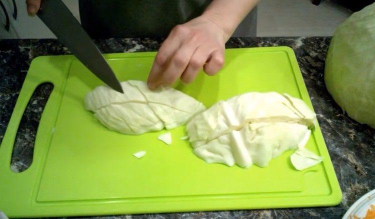 We cut cabbage into fairly large pieces.