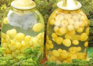 We prepare a delicious compote of grapes for the winter according to a step-by-step recipe with a photo.