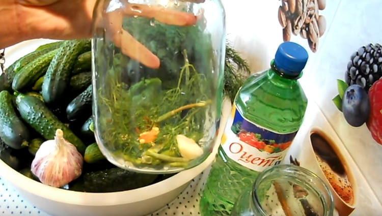 In the washed jars we lay dill, garlic, peppercorns.