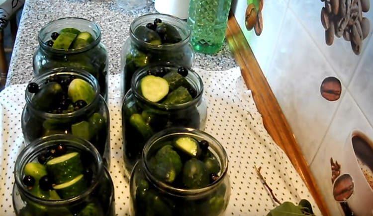 We add several currants to each jar.