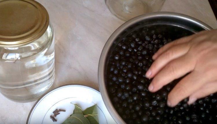 Rowan berries are washed and sorted.
