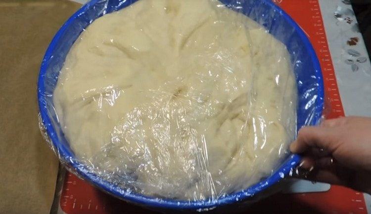 We cover the dough with cling film and leave it to rise.