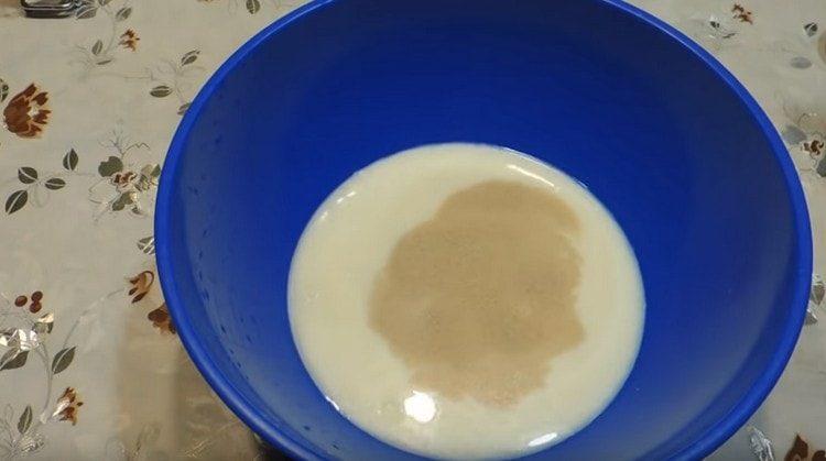 Pour warm milk or a potato broth into a bowl.