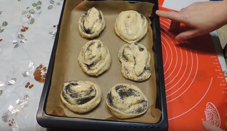 We spread the buns on a baking sheet, also grease with a beaten egg.