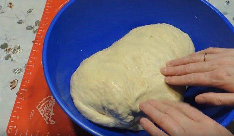 Knead the soft dough.
