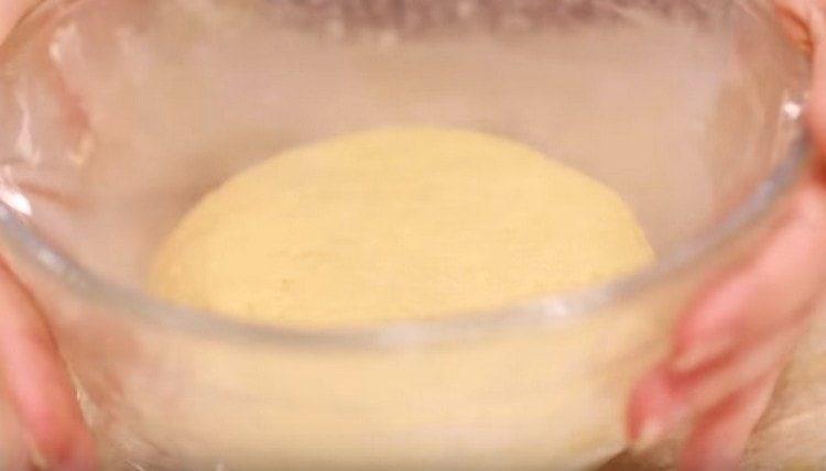 leave the dough in a warm place to rise.