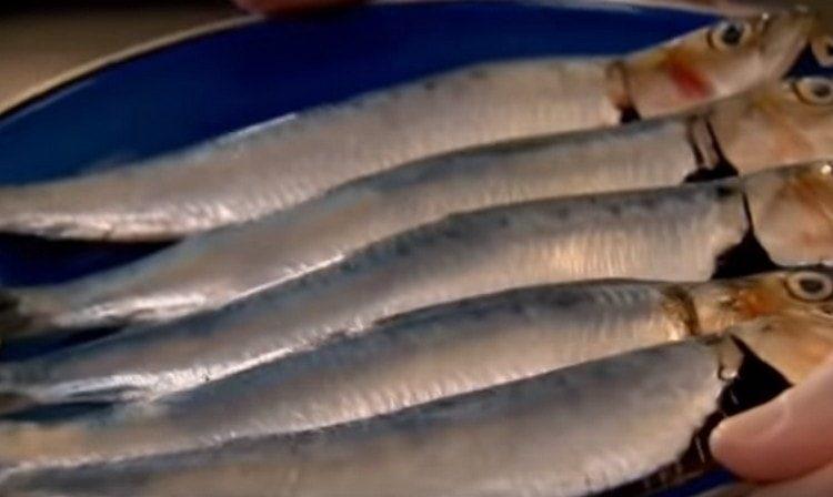 You will need sardines for this dish.