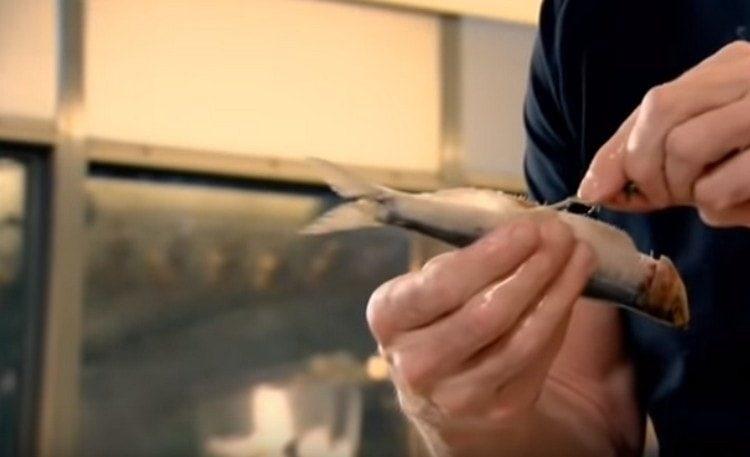 Salt the sardines, stuff with rosemary.