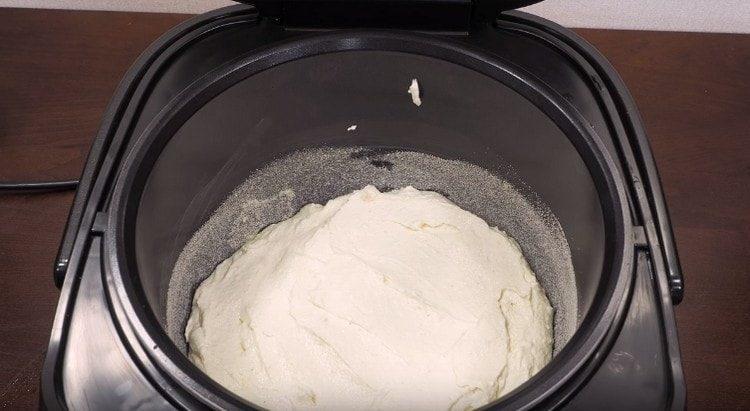 put the curd into the multicooker bowl.
