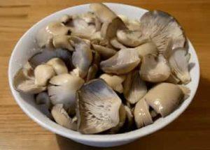 Pickled oyster mushrooms - a simple recipe