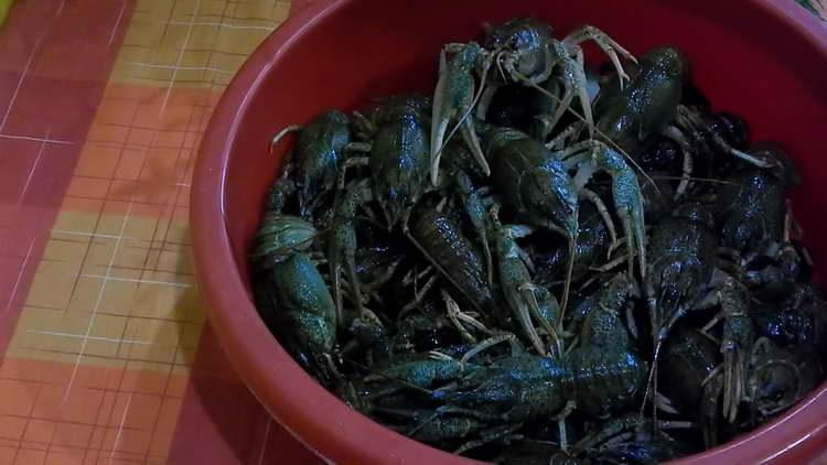 wash the crayfish