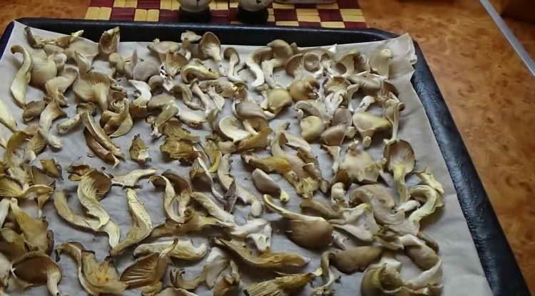 how to dry mushrooms in the oven