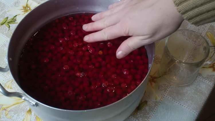 pour viburnum with water