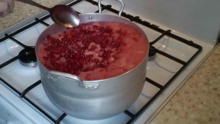 bring viburnum to a boil