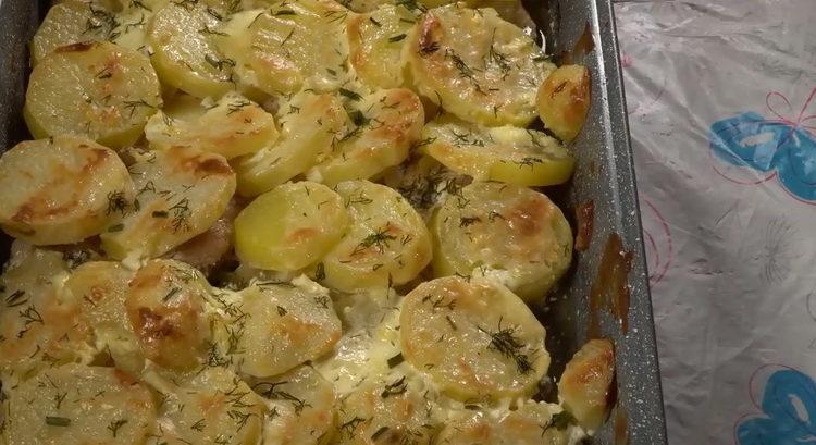 Roasted pork with potatoes in the oven