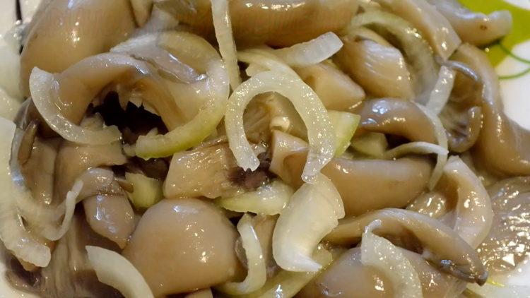 Pickled oyster mushrooms - a simple recipe