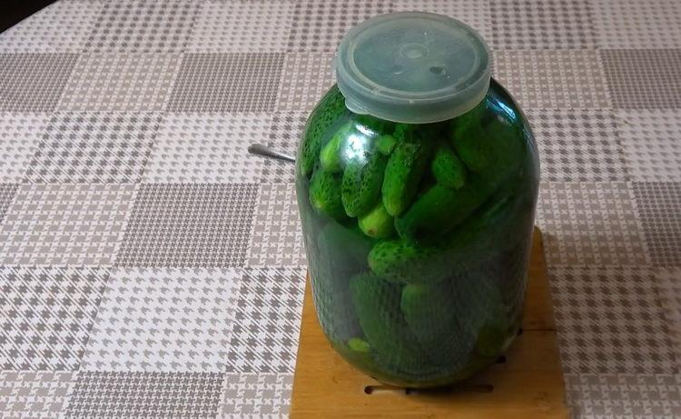 prepare the ingredients