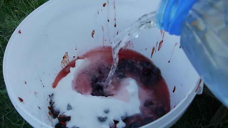 pour plums with water