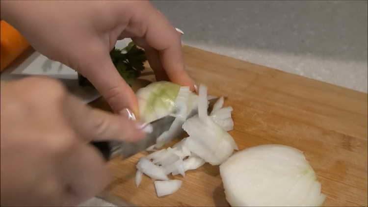 chop the onion into slices