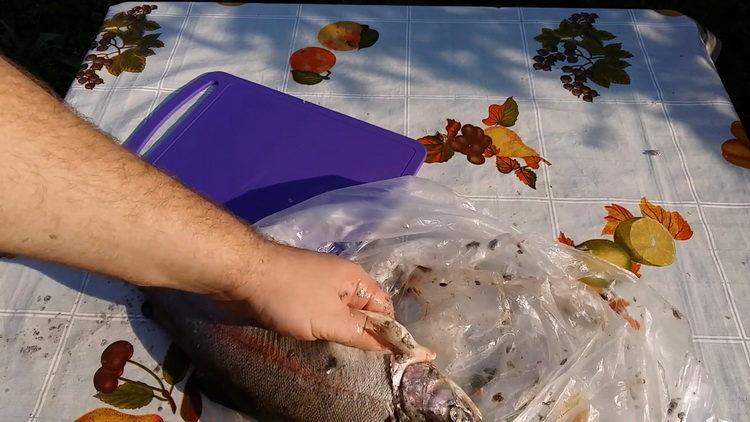 How to make rainbow trout