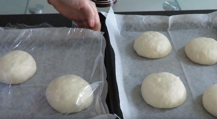 cover the buns with cling film and let them rise again.