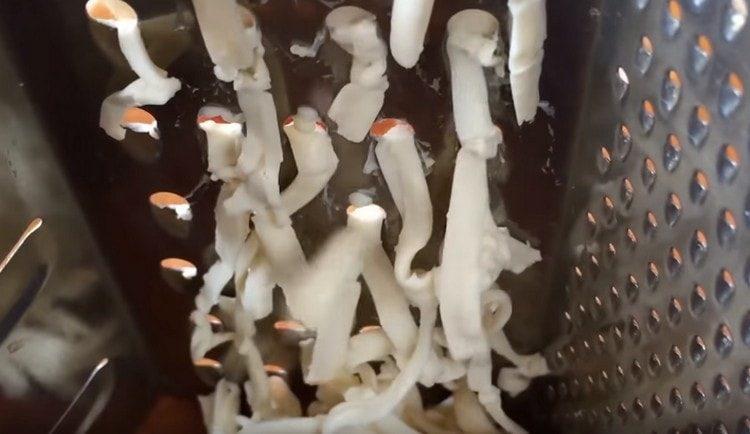 On a grater three melted cheese.