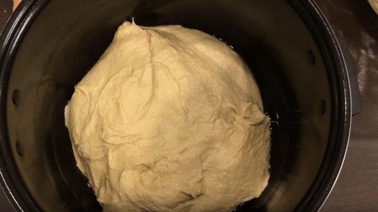 leave the dough in a warm place to rise.