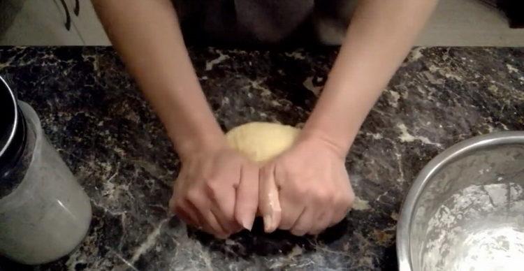 knead the dough