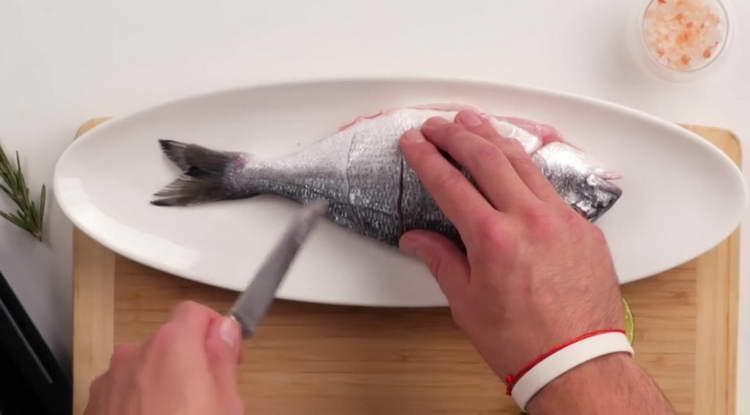 make cuts in the dorado