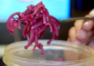cooking amazing pickled red onions