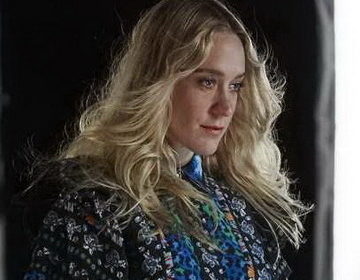 70 most interesting photos of the famous Chloe Sevigny